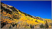 Blazing Hillside Ophir Road