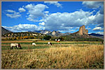 Needle Rock And Cows