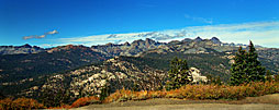 1 The Mandarins From The Vista