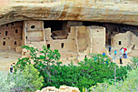 Spruce Tree House