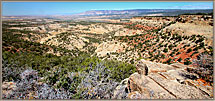 Landscape Near Plug Hat Butte