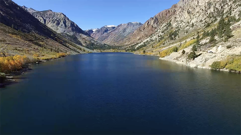 3 Closer To The Trees At Lundy Lake