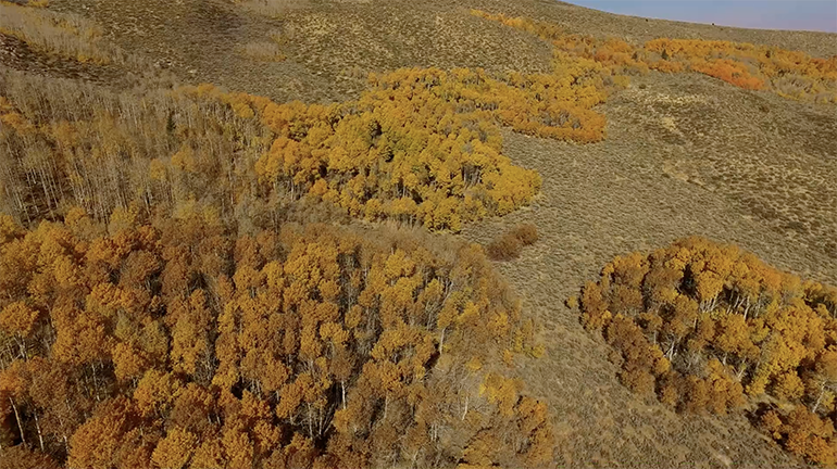 4 Returning To Highway 101 Near Mono Lake