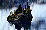 5 Phantom Ship Amid Reflection Of Snowy Mountain