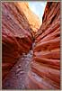 Little Wild Horse Canyon 2