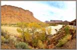 River near horse farm panorama.