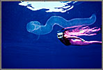 Jessica With Floating Salp
