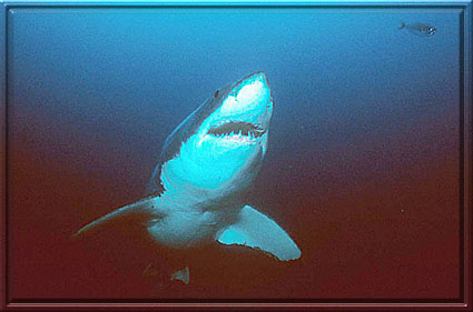 Smiling for YOU only!