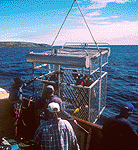 Hold onto your hats!