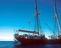 Shark cage being lowered in to the water. . .