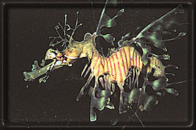 They are hiding out there!