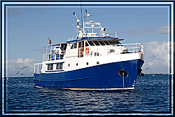 The Beautiful Princess II