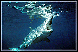 Erupting from below!