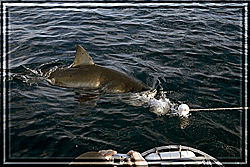 The moment of impact