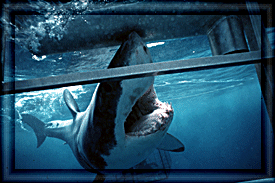 Here's looking at You!