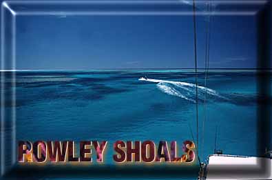 A view from top side! Rowley Shoals; a place to visit and remember for life!