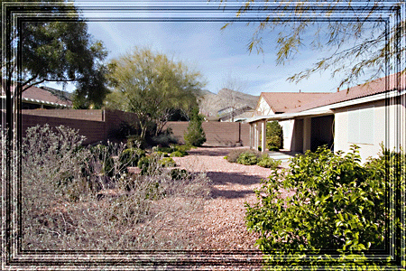 Watching Nature as she grows her design every minute, hour, day, week. . .