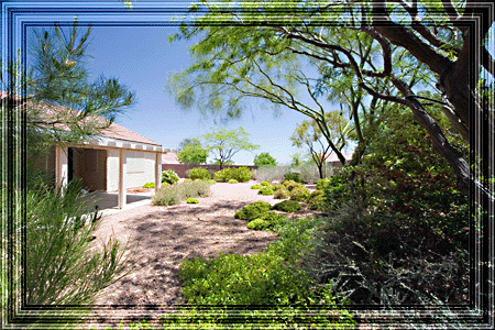 A great place to come and relax, Carl' backyard