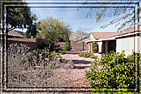 Watching Nature as she grows her design every minute, hour, day, week. . .