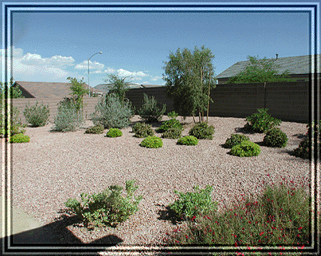 A beautiful new day!