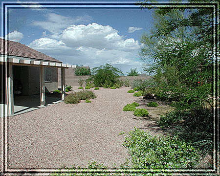 A wonderfully growing backyard!