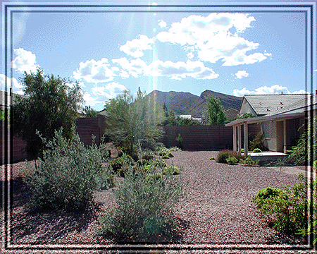 What a great place to come home to!