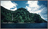 Waterfall Beach And Jungle